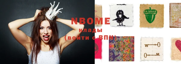 дмт Пересвет